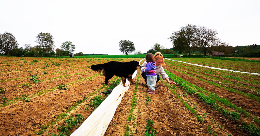 Landwirte Feld May Kaya