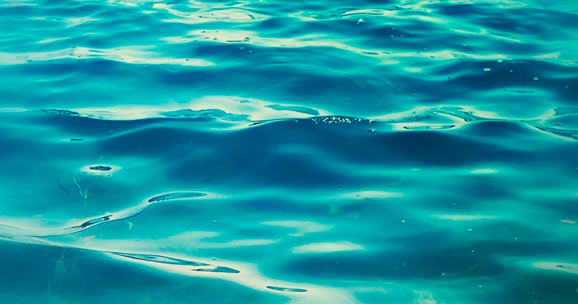 Wasser ist Leben