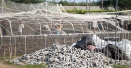 Upcycling PET Project