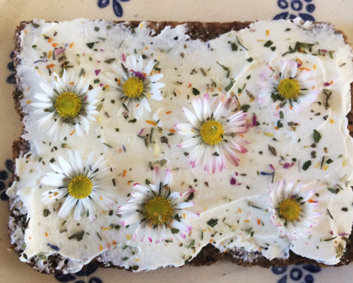 Gänseblümchen- Brot